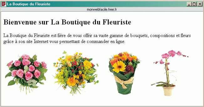 Balises entête, texte, image, image-map