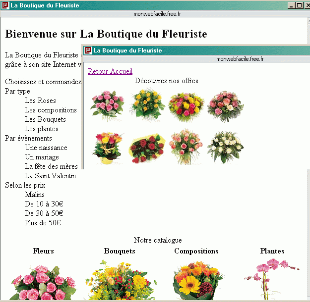 Balises liens, iframe, génériques, commentaires conditionnels