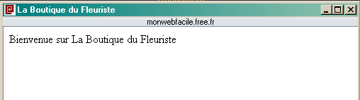 Projet HTML Introduction